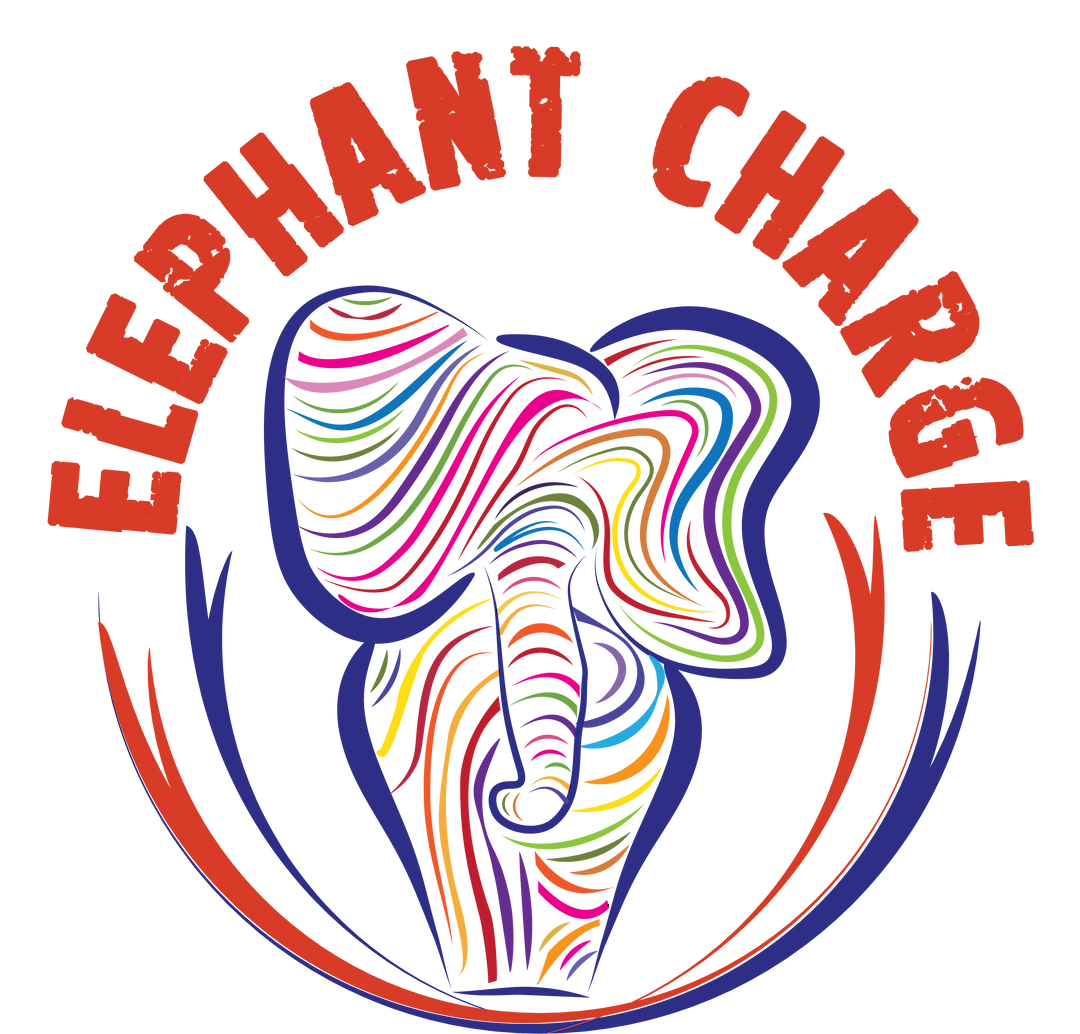 Elephant Charge