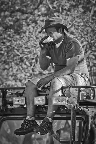 Elephant Charge 2012 - Jessie Mine