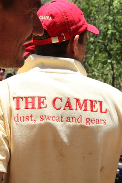 The Camel in the Elephant Charge 2012