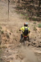 The Biking Baboons in the Elephant Charge 2012