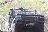 Chicken Run in the K2 & Mwala Crushing Elephant Charge 2014