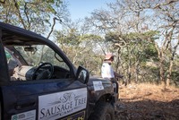 Sausage Tree in the Fuchs Elephant Charge 2017