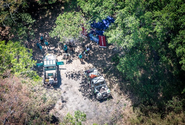 Fuchs Elephant Charge 2017 - Luntente River