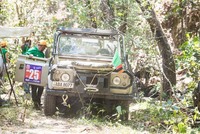 The Bushpigs in the Fuchs Elephant Charge 2017