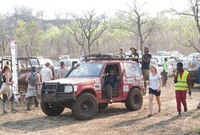 The Carnivores in the Fuchs Elephant Charge 2018