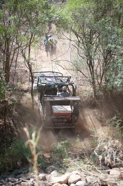 The Green Mambas in the Fuchs Elephant Charge 2019